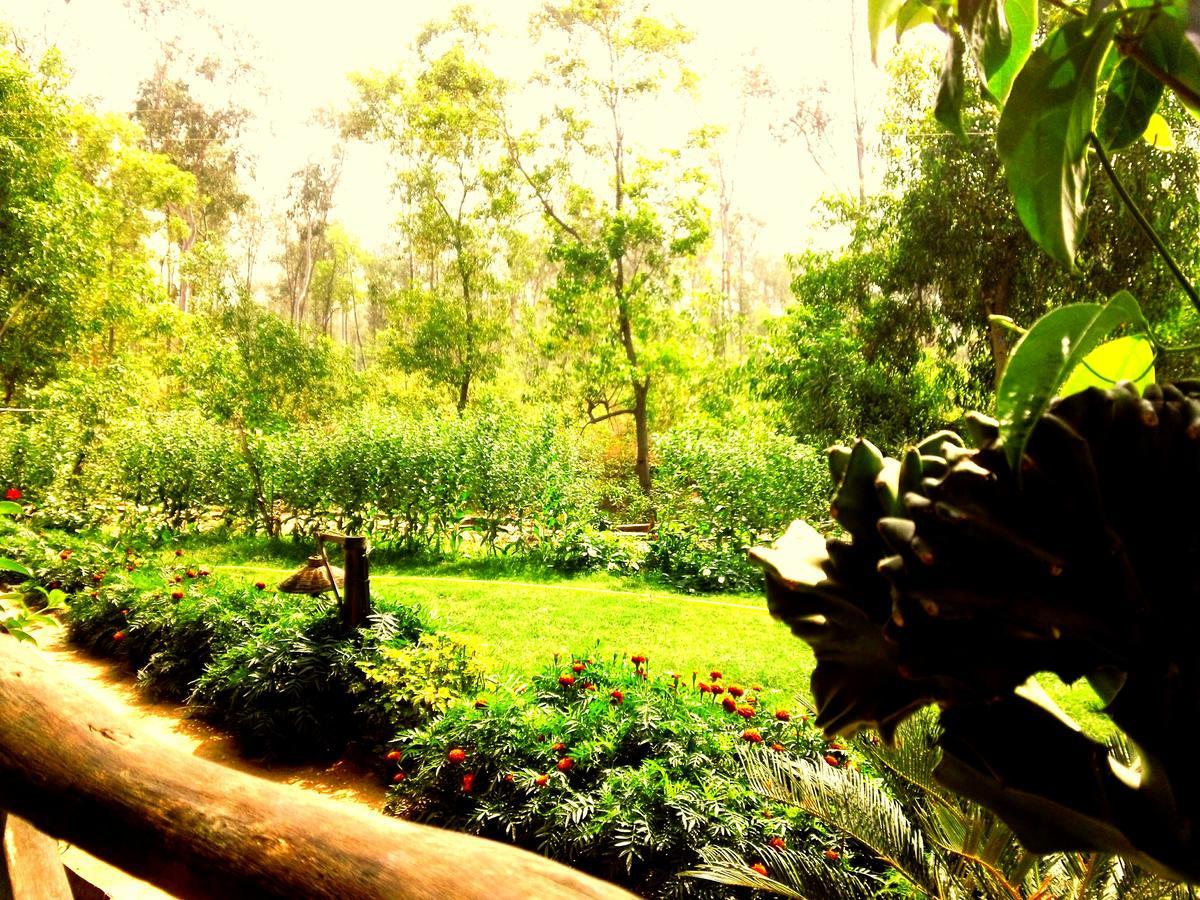 בולפור Roshnai Village Resort מראה חיצוני תמונה